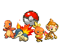 Starter_Fire.png