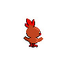 Fighting Torchic Back.png