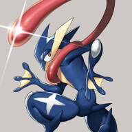 TheGreninja6227