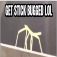 Stickbug-type