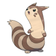 furret19