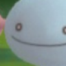 Wooper