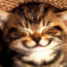 Cloul