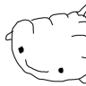 Ekulchu