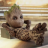 Groot