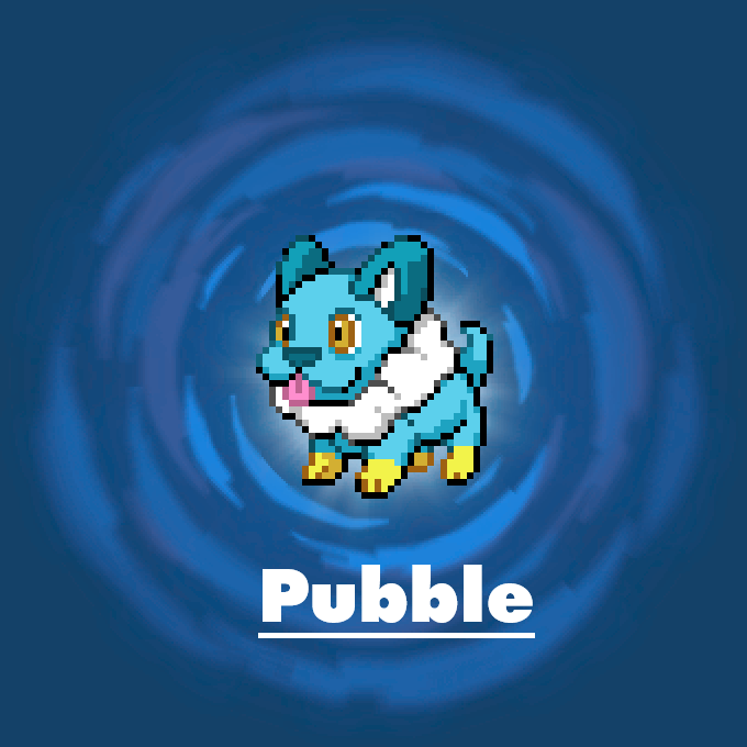 PUBBLE-INTRO.png